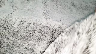 Tocando a Mi Hermanastra Embarazada Bajo Las Sabanas