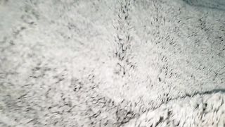 Tocando a Mi Hermanastra Embarazada Bajo Las Sabanas