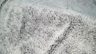 Tocando a Mi Hermanastra Embarazada Bajo Las Sabanas