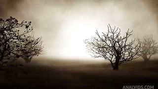 ANAL SLUTS - REBEL RHYDER, TAYLOR NICOLE, RICO BLAZE, RICHARD MANN