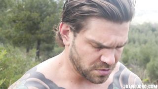 Forest Cum
