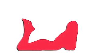 A SELECAO BRASILEIRA TOMOU E ELA TAMBEM