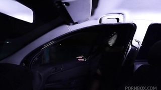 The bitch Priscilla notice that in car there is a good cock for her