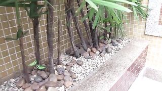 Red head trans screaming for the pleasure