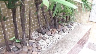 Red head trans screaming for the pleasure