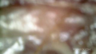 Loud microscope farts inside my asshole 1080HD