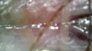 Loud microscope farts inside my asshole 1080HD
