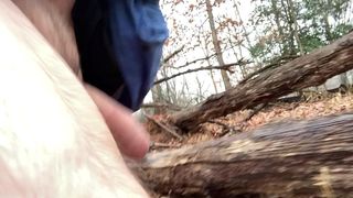 CLITLICKER662 - UPDATE #33 - IMG_1339 - FEB 16, 2025