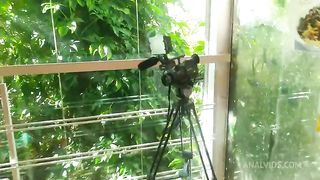 surubao na sauna le jardim em porto alegre