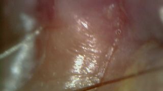 Microscope or endoscope? Sensational farts in a Vore edition inside my ass 4K