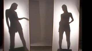 Cover in the shadow two trans meet each other and start to have sex