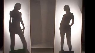 Cover in the shadow two trans meet each other and start to have sex