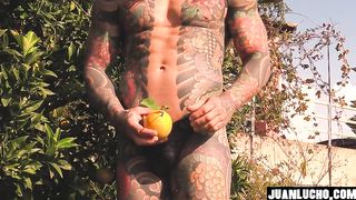 Orange Juice