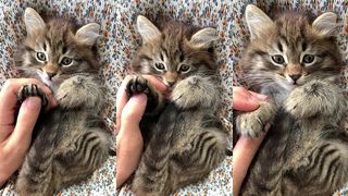 TESTXV - UPDATE #3 - 5968893-UHD_2160_3840_30FPS - MAR 12, 2025