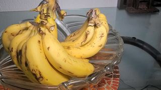 NA SORVETERIA ENCONTREI UMA GIGANTE DE CHOCOLATE