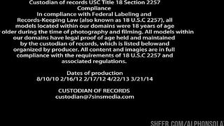 Vanity Vixen gets big dick in her holes