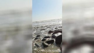 unknown girl on the beach takes me to fuck in her cheap hotel.