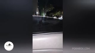 CORNO ESPERA NO CARRO ENQUANTO A ESPOSA SOBE NO APARTAMENTO DO AMIGO DOTADO PARA FUDER - CUCKOLD WAITS IN THE CAR WHILE HIS WIFE GOES UP TO HER GIFTED FRIEND S APARTMENT TO FUCK