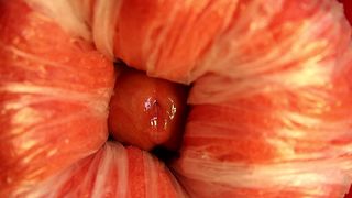 IT WAS EVENING AND THERE WAS NOTHING TO FUCK!