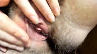 Hairy pussy wide-opening, pussy lips showing, clit rubbing!