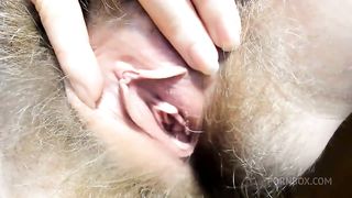 Hairy pussy wide-opening, pussy lips showing, clit rubbing!