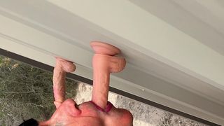 VIRREY4572 - UPDATE #4 - IMG_0304 - MAR 24, 2025