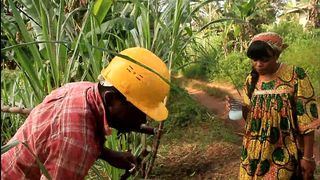 IN THE FIELD WITH A PALM WINE PICKER WHO FINDS ME DEFRICHE THE FIELD AND WE ENDED UP KISSING ON THE SPOT