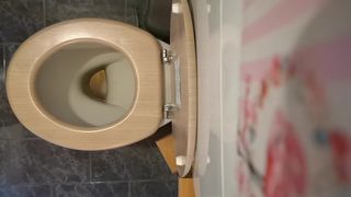 Perfect ass pee and farts on the wc 4K