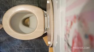 Perfect ass pee and farts on the wc 4K