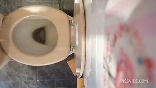 Perfect ass pee and farts on the wc 4K