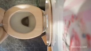 Perfect ass pee and farts on the wc 4K