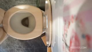 Perfect ass pee and farts on the wc 4K