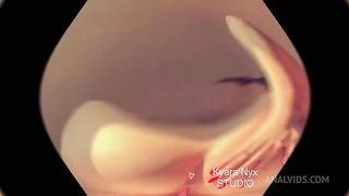 Je dilate mon cul avec 5 sextoys anaux / I expand my ass with 5 sex toys