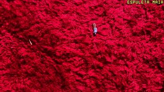 GIGANTE CRUEL ORDENANDO SEU PEQUENO E MISERO HOMEM A CHEIRAR A BUCETA DELA