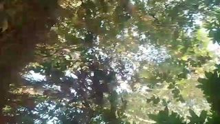 BUSTY BABE SQUIRTING LIKE CRAZY IN THE FOREST