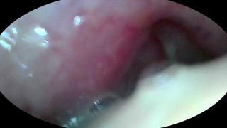 INTO GIANTESS S STOMACH(VORE)