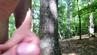 CLITLICKER662 - UPDATE #38 - IMG_1412 - MAY 24, 2025