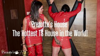 A MUSA TRANS DO PORNO BRASILEIRO SABRINA PREZOTTE REALIZA FETICHE COM O SUBMISSO DECO T LOVER E FAZ COISAS QUE TE DEIXARA DE BOCA ABERTA.