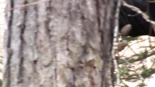 Sue Plays Strange Games Of Perversion