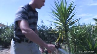 a beauty trans appears, and I decide to ad one more for more fun.