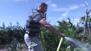 a beauty trans appears, and I decide to ad one more for more fun.