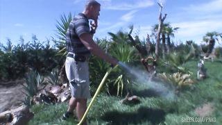 a beauty trans appears, and I decide to ad one more for more fun.