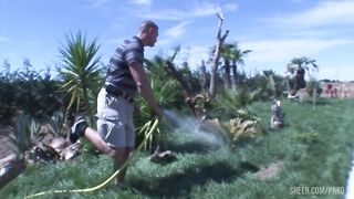 a beauty trans appears, and I decide to ad one more for more fun.