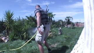 a beauty trans appears, and I decide to ad one more for more fun.