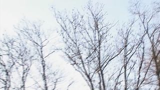 European Orgy With Big Tits And Shaved Pussies Being Fucked By Stiff Cocks