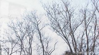 European Orgy With Big Tits And Shaved Pussies Being Fucked By Stiff Cocks