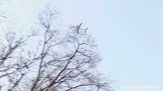 European Orgy With Big Tits And Shaved Pussies Being Fucked By Stiff Cocks