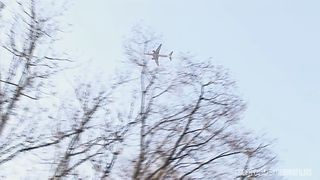 European Orgy With Big Tits And Shaved Pussies Being Fucked By Stiff Cocks