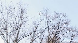 European Orgy With Big Tits And Shaved Pussies Being Fucked By Stiff Cocks