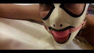 Laura is tied up on a bed wearing pantyhose and high heels, roughly throated and hard fucked